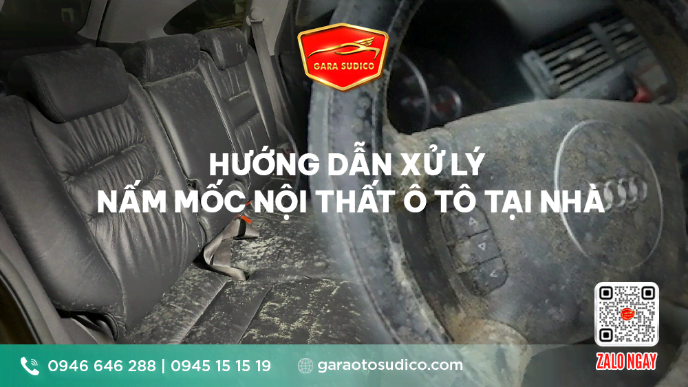 HƯỚNG DẪN XỬ LÝ NẤM MỐC NỘI THẤT Ô TÔ TẠI NHÀ